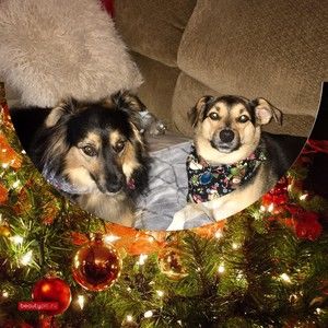 Meet your Posher, Jill